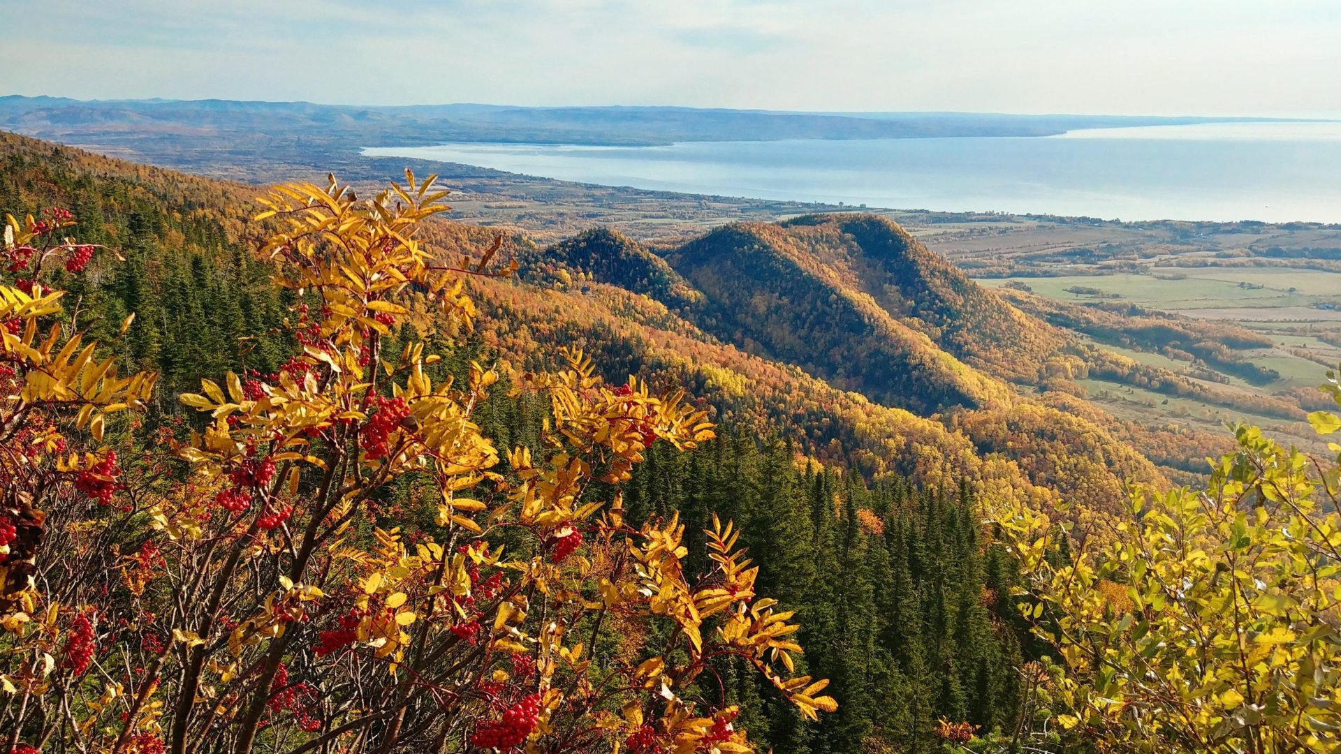 Forêt aux couleurs d’automne et littoral de Gespe’gewa’gi