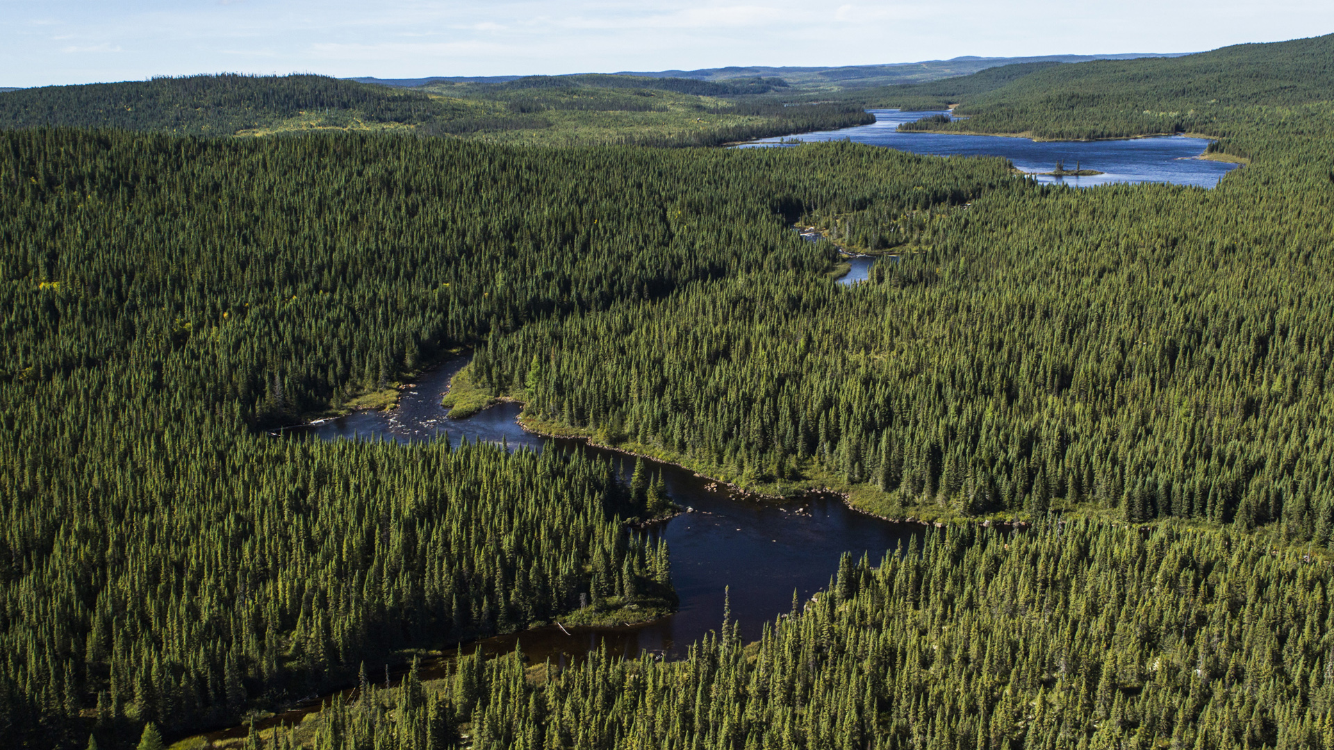 Forêt boréale et rivière, Québec